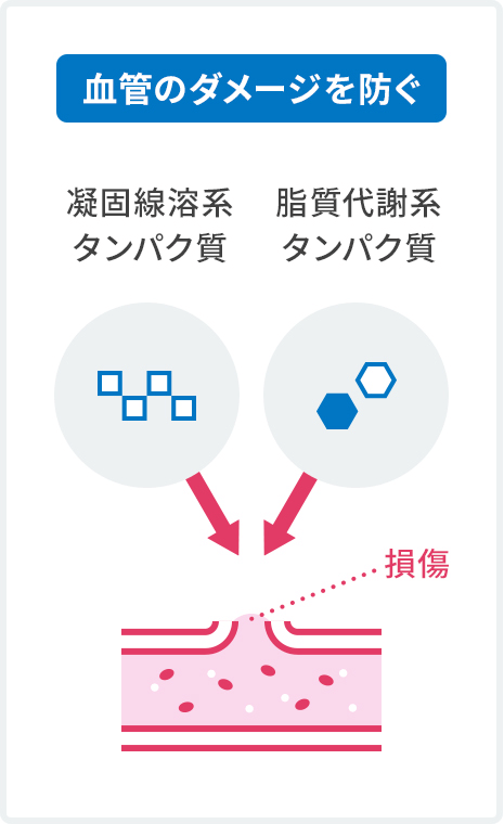 血管のダメージを防ぐ