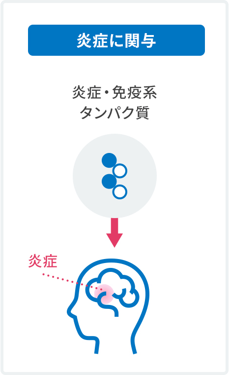 炎症に関与